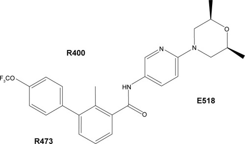 Figure 3 Sonidegib interacts with the drug-binding pocket of SMO, which mainly consists of three amino acids: arginine (R) 473, arginine (R) 400, and glutamic acid (E) 518.