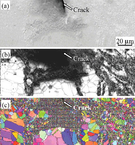 Figure 14. Microstructures in the specimen ②. (a) SEM image, (b) IQ map, and (c) IPF map.
