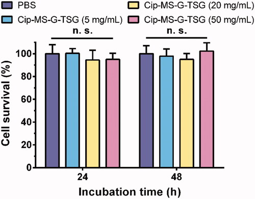 Figure 5. MTT assay of Cip-MS-G-TSG on HaCaT cell lines (mean ± SD, n = 6).