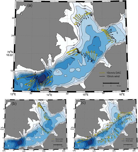 Figure 5. De-tided DACs, overlayed with corresponding 10 m wind velocity from the AROME–Arctic model, in (a) across-fjord sections in November 2014. (b) Sections 3 and 1b and (c) along-fjord Sections 5 and 7 are shown separately to avoid overlap. DACs vectors (cm/s) are shown in yellow while 10 m wind vectors (m/s) are shown in black.