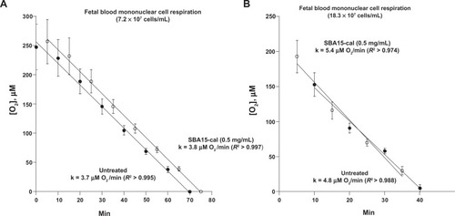 Figure 5 Representative experiments of fetal blood mononuclear cell respiration in the presence and absence of SBA15-cal.Notes: All procedures were performed immediately following collection of venous blood from the umbilical cord. Respiration was measured in cells isolated from whole blood with and without the addition of 0.5 mg/mL SBA15-cal. O2 measurements were performed at 37°C in 1 mL sealed vials, alternating every 5 minutes between untreated (closed circles) and SBA15-cal (open circles) samples; each time point represents the mean ± standard deviation (n = 1800) of [O2] over 3 minutes. The rate of respiration (k) was the negative of the slope of [O2] versus t; the values of k (in μM O2 per minute) are shown. The lines are linear fits. Zero minutes corresponds to addition of particles.