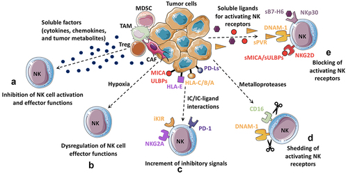 Figure 1. Inhibition of NK cell-mediated anti-tumor response by tumor microenvironment.