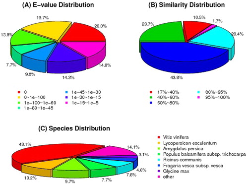 Figure 3. E-value distribution (A), similarly distribution (B) and species distribution (C) of the Blastx results in NCBI NR database.