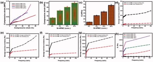 Figure 5. (a) The representative compressive strain-stress curves of different hydrogels. (b) The compressive strength of different hydrogels. (c) The compressive elastic modulus of different hydrogels. (d–g) Storage modulus (G′) and loss modulus (G′′) of hydrogels without Si-HPMC hydrogels treatment and Si-HPMC hydrogels-treated hydrogels (0%, 5%, 10%, and 20%). (h) Storage modulus (G′) of different hydrogels. **p < .01.