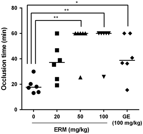Fig. 1. In vivo antithrombotic effect of ERM.
