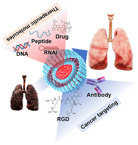 Figure 1 Schematic illustration of liposome-mediated lung cancer (LC) treatment.