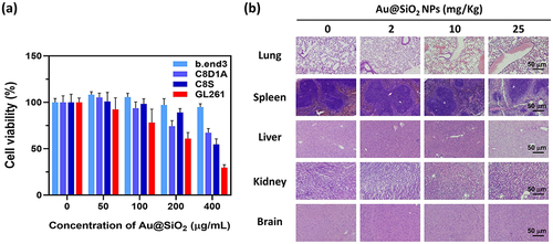 Figure 2 In vitro and in vivo safety profile of Au@SiO2 NPs.