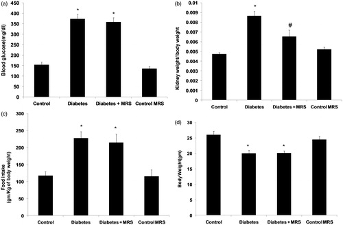 Figure 1. Effect of A2B adenosine receptor antagonist (MRS1754) on (a) Blood Glucose; (b) Kidney weight/body weight; (c) Food intake; (d) Body weight in control and diabetic animals. Notes: Data are means (±SEM). *p < 0.05 versus control group #p < 0.05 versus diabetes group; n = 6.