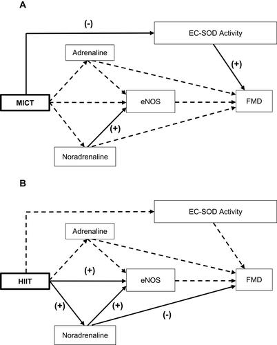 Figure 4 The best diagram of cardiovascular protection mechanism for MICT (A) and HIIT (B).Notes: All variables (dependent and independent) are shown in rectangles. Arrows represent links, with significant links shown as solid lines and nonsignificant paths shown as broken lines. (+), positive influence; (-), negative influence.Abbreviations: MICT, moderate-intensity continuous training; HIIT, high-intensity interval training; eNOS, endothelial nitric oxide synthase; EC-SOD, extracellular superoxide dismutase; FMD, flow-mediated dilatation.