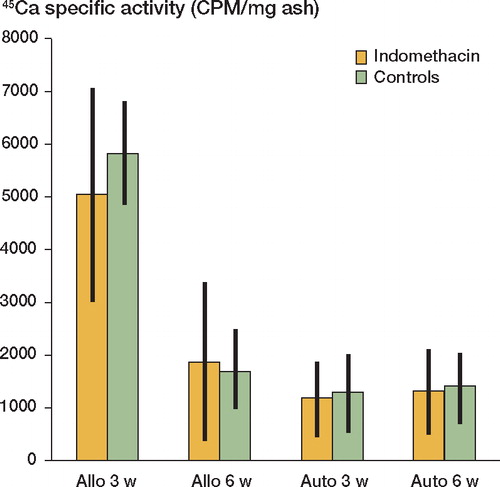 Figure 2. 45Ca-specific activity of the bone grafts.Values are mean (CPM/mg ash) ± 95% confidence limits.N = 8–9.Allo: allografts at 3 or 6 weeks; auto: autografts.