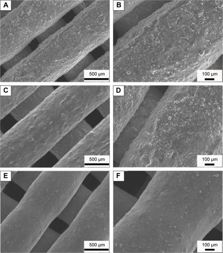 Figure 2 SEM micrographs of 30 MGPC (A, B), 15 MGPC (C, D) and GPC (E, F) scaffolds.Notes: The magnification of figures A, C, and E is ×50; the magnification of figures B, D, and F is ×500.Abbreviations: GA, gliadin; MGPC, mMCS/GA/PCL composites; mMCS, mesoporous magnesium calcium silicate; PCL, polycaprolactone.