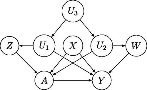 Figure 2: Coexistence of types (1), (2), and (3) proxies when exchangeability fails.