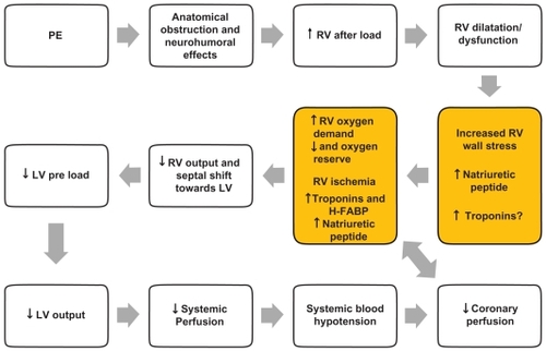 Figure 1 Pathophysiology of hemodynamic instability due to PE and mechanism of biomarkers increase.
