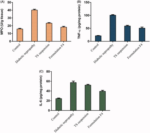 Figure 3. Effect of TS suspension and formulation F4 on (A) MPO, (B) TNF-α, (C) IL-6 in streptozotocin-induced diabetic nephropathy rats (mean ± SEM). IL-6: interleukin 6; MPO: myeloperoxidase; TNF-α: tumour necrosis factor-α; TS: telmisartan.