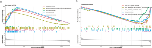 Figure 5 (A and B) GSEA analysis was performed on the TTS and normal groups.