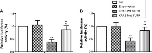 Figure 2 Evaluation of rs712 polymorphism on the interaction between let-7g and KRAS 3′-UTR.