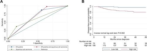 Figure 2 (A) ROC curves for LNM prediction: ERα positive, squamous cell carcinoma, and predictive performance. (B) Secondary outcomes: 5-year DFS of the predictive performance for LNM. Low risk (ERα positive and squamous cell carcinoma); High risk (ERα negative and/or non-squamous cell carcinoma).