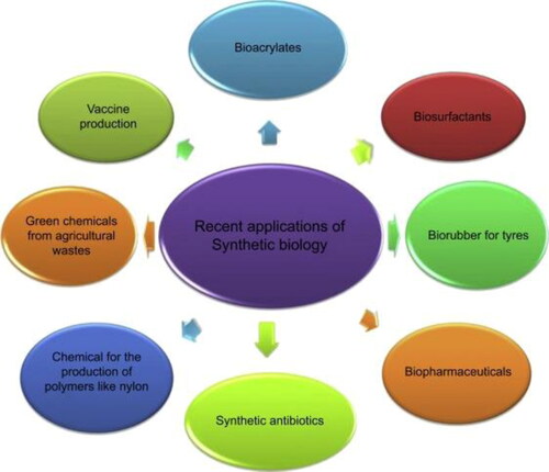 Figure 4. SB applications and prospects [Citation31].This figure was published in a book entitled “Current Developments in Biotechnology and Bioengineering: Synthetic Biology, Cell Engineering and Bioprocessing Technologies”, Editor(s): Sudhir P. Singh, Ashok Pandey, Guocheng Du, Sudesh Kumar, Author Manisha Chownk, Karnika Thakur, Anjali Purohit, Alokika Vashisht, Sudesh Kumar, Applications and Future Perspectives of Synthetic Biology Systems, Pages 393–412, Copyright Elsevier (2019). This permission is granted for non-exclusive world rights in all languages. Reproduction of this material is granted for the purpose of both print, electronic and includes use in any future editions.