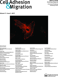 Cover image for Cell Adhesion & Migration, Volume 11, Issue 1, 2017