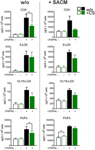 Figure 2 Celastrol (CS) modulates LM pathways during polarization towards human M1-MDM. M0GM-CSF were pre-treated with 0.2 µM CS or 0.1% DMSO (as vehicle) for 15 minutes before adding the polarizing agents LPS/IFNγ or vehicle. After 48 hours, cells were incubated in 1 mL PBS pH 7.4 plus 1 mM CaCl2 without or with 1% S. aureus-conditioned medium (SACM) for 90 minutes. Produced LM were analyzed in cell supernatants by UPLC-MS-MS. The sum of COX products (PGE2, PGD2, PGF2α, TXB2), 5-LOX products (LTB4, t-LTB4, 5-HETE, 5-HEPE), 12/15-LOX products (17-HDHA, 15-HETE, 15-HEPE, 14-HDHA, 12-HETE, 12-HEPE), and PUFA (AA, EPA, DHA) are shown as pg/2× 106 cells of CS-treated and vehicle-treated cells, in the resting state or upon challenge with SACM. Data are means±SEM, n=4 and were log-transformed for statistical analysis, * p<0.05, CS vs control group, one-way ANOVA for multiple comparisons with Sidak’s correction.