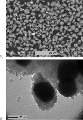 FIG. 7 (a) 2000× SEM image of toner powder, dominated by 3–8 μm clumps of 25–400 nm agglomerates, each composed of carbon, iron, and oxygen. Also present are 1–3 μm strontium–titanium–oxygen particles (bright particles). (b) 97,000× TEM image of the 25–400 nm agglomerates, each composed of an iron–oxygen core (dark shapes) coated with 5–15 nm carbon–oxygen particles.