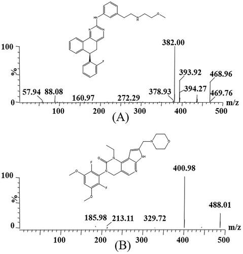 Figure 1. Mass spectras of derazantinib (A) and pemigatinib (IS, B) in this study.