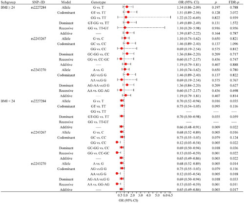 Figure 3. Forest map of the association between SNPs and RA risk in BMI stratification. RA: rheumatoid arthritis; BMI: body mass index; SNP: single nucleotide polymorphism; OR: odds ratio; CI: confidence interval; FDR: false discovery rate. p < .05 was considered to be significant.