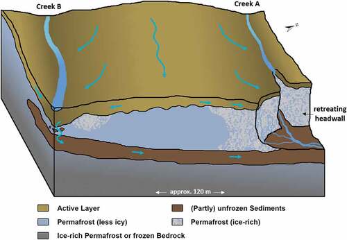 Figure 9. Simplified illustration of the detected subsurface structures as well as derived water pathways (blue arrows). The figure is not drawn to scale and is shown vertically exaggerated.