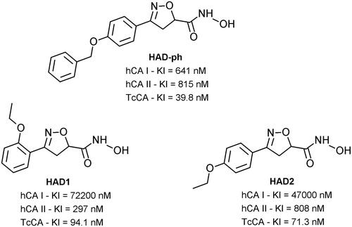 Figure 1. Hydroxamic acid derivatives (HAD) with potential action against Chagas disease. Carbonic anhydrases human isoforms hCA I and II and T. cruzi enzyme TcCACitation26.