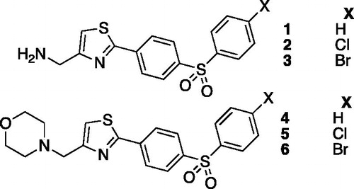 Figure 1. Thiazole activators reported in Ref. (Citation14).