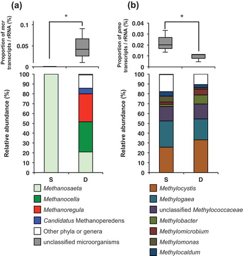 Figure 3. Relative abundances (upper panels) of transcripts relevant to methane generation (mcr) (a) and methane oxidation (pmo) (b) normalized by rRNA abundances, and the taxonomic composition of the assigned archaeal genera in the W6 period (lower panels). Each box plot shows median (black line), first quartile-third quartile percentiles (box range), n = 3 (upper panels). Data are shown as means of three replicates (lower panels). Asterisks indicate significant differences (Mann–Whitney U-test; * p < 0.05).