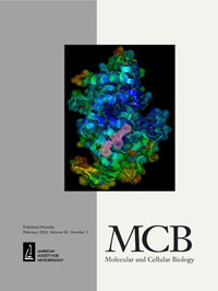 Cover image for Molecular and Cellular Biology, Volume 42, Issue 2, 2022