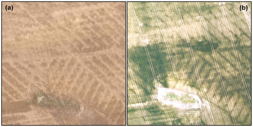 Figure 2. Typical visual features of functional DSs and permanently waterlogged locations on an aerial photo. (a) Bare arable land (light bands – 17.9.2014, 15 ground sample distance (GSD)), (b) cereal areas, winter wheat, emergence phenophase (dark lines – 15.5.2015, 12 GSD).
