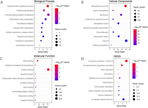 Figure 2. PCOS vs. Control: GO and KEGG enrichment of differentially expressed proteins (DEPs). (A) biological process, (B) cellular component, (C) molecular function, and (D) KEGG pathway analysis.