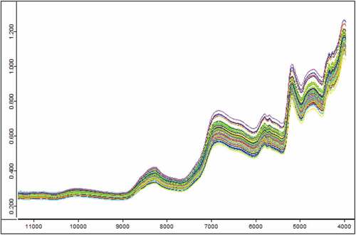 Figure 2. Original spectra of 108 ground green coffee samples.