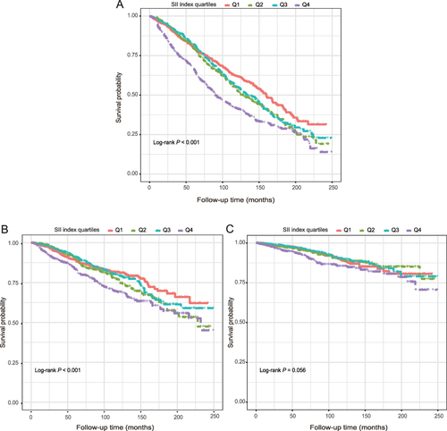 Figure 10 Kaplan-Meier survival curve for all-cause (A), CVD (B and C) cancer-related mortality in MI patients.