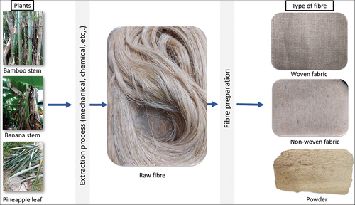Figure 1. Typical plant fibers and its condition for composite material applications.