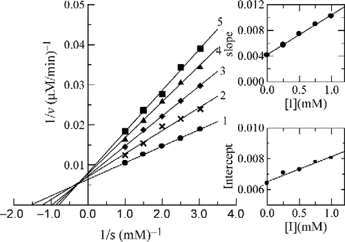Figure 9 Lineweaver-Burk plots for inhibition by 3-fluorobenzaldehyde (b) on the oxidation of DOPA by mushroom tyrosinase. Concentration of (b) for curves 1–5 was 0, 0.25, 0.50, 0.75, 1.00 mM, respectively. The insets represent the plot of the slope and the intercept versus the concentration of (b) to determine the inhibition constant. The line is drawn using linear least squares fit.