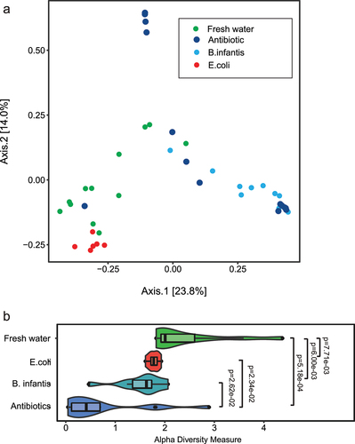 Figure 10. Indexes of mouse pup microbiome biodiversity after neonatal gavage transfaunation using 16S rRNA gene sequencing before H-I at P10. A. Beta diversity PCoA plots with bray-curtis dissimilarity measure, showing separation of gut bacterial communities with different microbial treatment. B. Shannon index of alpha-diversity was significantly lower in the Antibiotics group relative to fresh water group, but no difference between E. coli and B. infantis groups.
