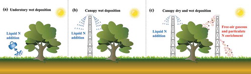 Figure 1. Manipulative field experiments mimicking N deposition: (a) conventional understory liquid N addition (mimicking wet deposition); (b) plant canopy liquid N addition (mimicking wet deposition); and (c) future scenarios for plant canopy dry and wet deposition (mimicking N deposition pathways, i.e., wet and dry, and species, i.e., oxidized and reduced forms, especially ammonia).