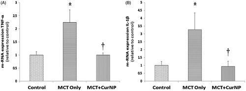 Figure 5. Cur NP treatment diminished MCT-induced increase in inflammatory cytokines. RV mRNA expression levels of TNF-α (Panel A) and IL-1β (Panel B). Values are expressed as mean ± SEM; n = 5 for each group. *P < 0.05 versus control group; †P < 0.05 versus MCT + Cur NP group.