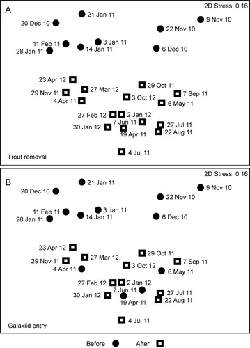Figure 3 Multidimensional scaling plots representing changes in phytoplankton species composition in Upper Karori Reservoir. A, Sample dates are superimposed with symbols indicating dates before and after trout removal; B, the likely timing of galaxiid entry.