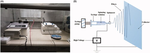 Figure 1. (A) The photograph of the electrospinning apparatus. (B) The drawing of the electrospinning apparatus.