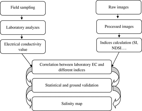 Figure 2. Flowchart of the methodology used in the study.