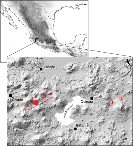 Figure 1. Area survey in this study (red), with approximate location of the discovered Nahuatzen population assigned to Ambystoma cf. amblycephalum in 2018 (marker 1), as well the two other scientifically documented records: the type locality of A. amblycephalum described by Citation22 (marker 2), and the origin of the genetic sample included in Citation17 (marker 3).