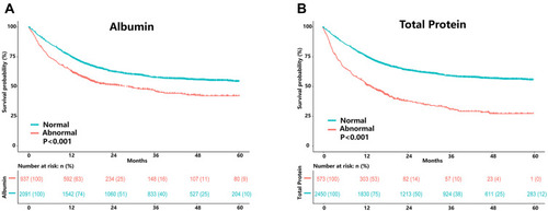 Figure 4 Results of the Kaplan–Meier survival analysis for patients with cancer cachexia stratified by albumin (A) and total protein (B) based on all patients with cancer cachexia.