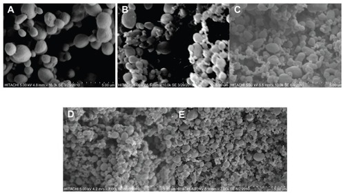 Figure 4 Scanning electron microscopy micrographs of nanoencapsulated paracetamol inside L-polylactic acid at 30ºC and different pressures: (A) 80 bar, (B) 90 bar, (C) 100 bar, (D) 110 bar (E) 120 bar.