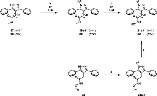 Scheme 3. Synthesis of N-substituted 3,5-diarylpyrazole hydroxamic acid derivatives. Reagents and conditions: (a) i: NaH, DMF, 0 °C, ii: R3-Hal, 0 °C to RT (19a–c,f and 20, 71–98%); (b) TFA/DCM (1:1, v/v), RT (for 19d,e, 94–99%); (c) NH2OH*HCl, NaOCH3, MeOH, microwave, 80 °C (for 21a,e–h, 5–53%); (d) BBr3, DCM, 0 °C to RT (for 21i and 22, 23–54%); (e) R3-B(OH)2, Cu(OAc)2, TEA, molecular sieves 3 Å, DCM, RT (25–30%); (f) TFA/DCM (1:1, v/v), TIS, RT (for 21b–d, 39–55%).