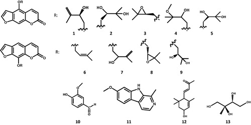 Figure 1. Secondary metabolites isolated from Ducrosia anethifolia.