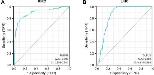 Figure 2 ROC curve of DLEU2 expression predicting the outcome of KIRC (A) and LIHC (B).